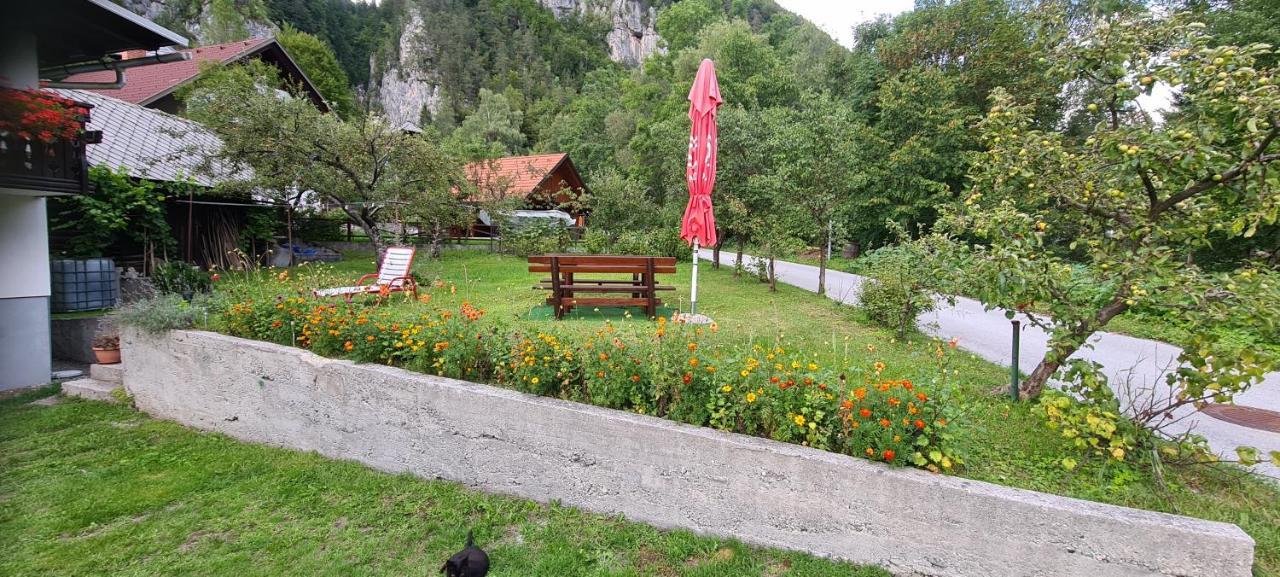 Apartma Vidic Gozd Martuljek Zewnętrze zdjęcie